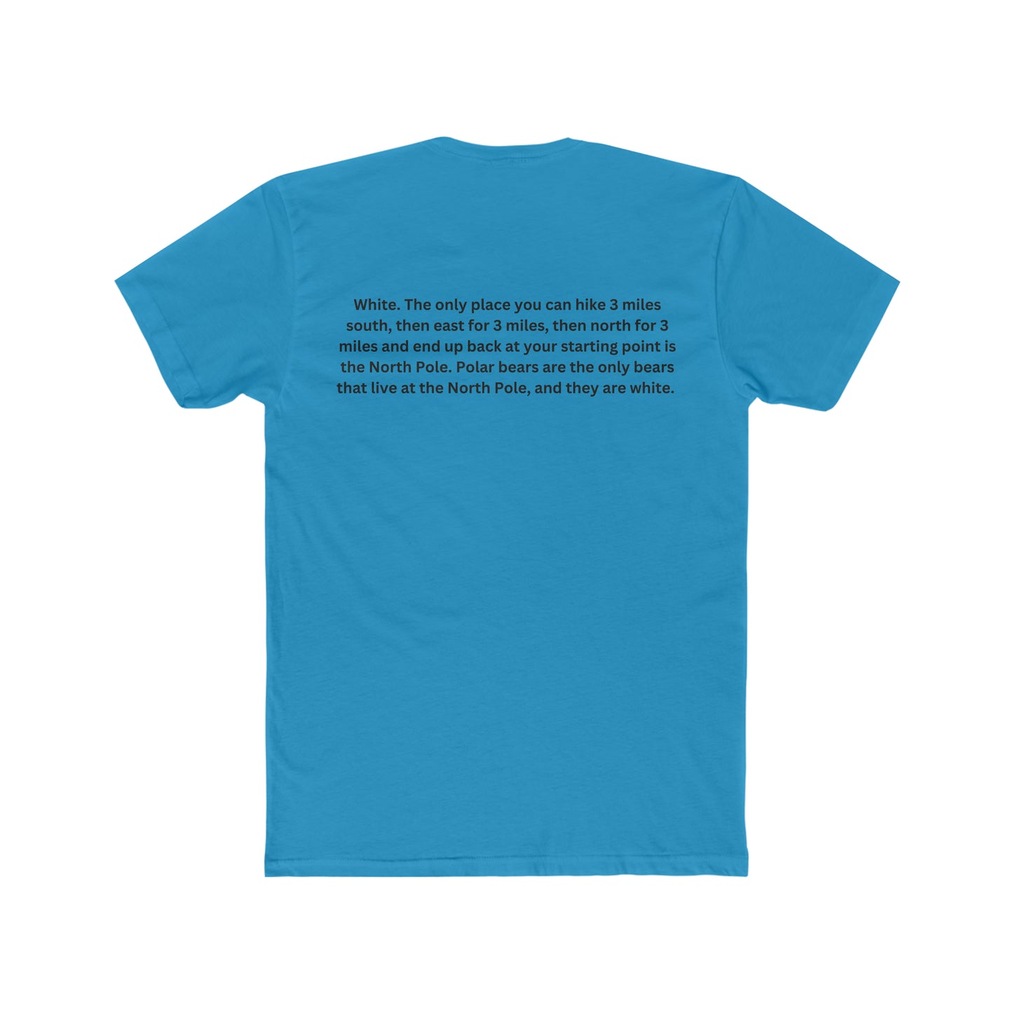 Brain Teaser, What color was the bear?, Fun, Puzzle Tee